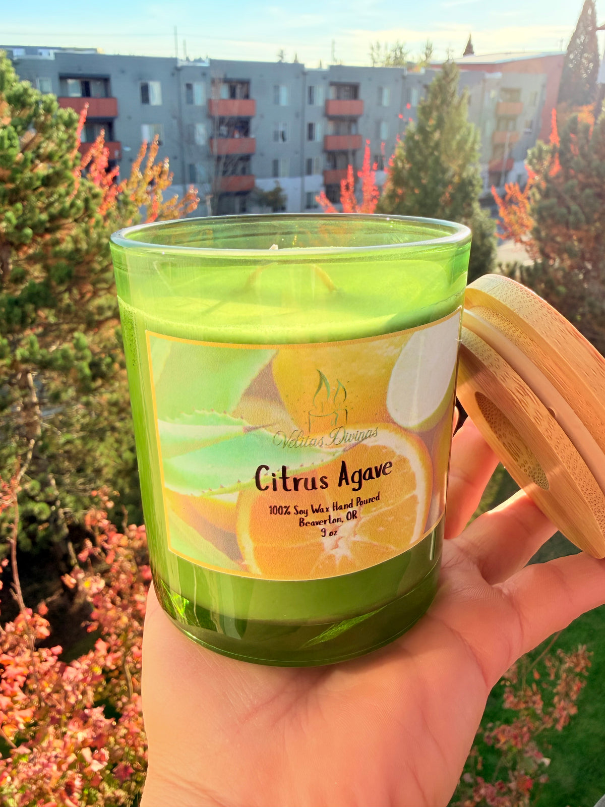 Citrus Agave