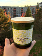 Honeydew Melon